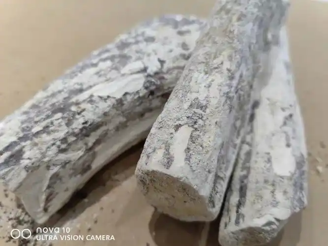 每日了解一味中药鹿角霜补阳药