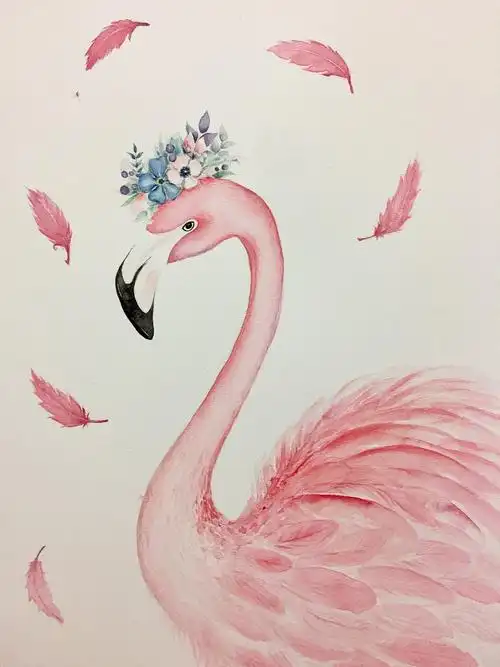 水彩/妖娆美丽的火烈鸟