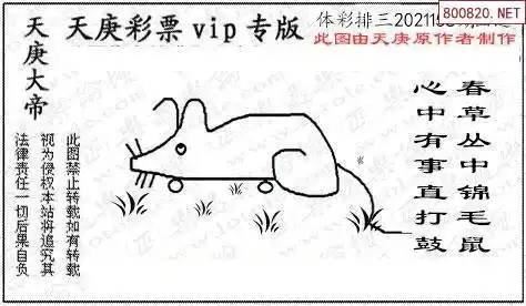 2021158期正版天庚p3图谜