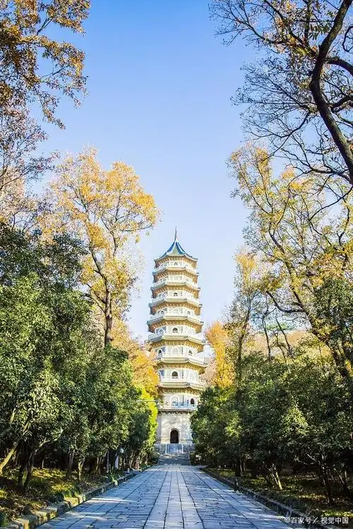 南京灵谷景区丨来自自然的美 总能怦然动心