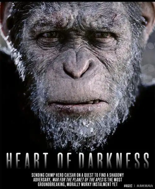 猩球崛起3就是个伪命题