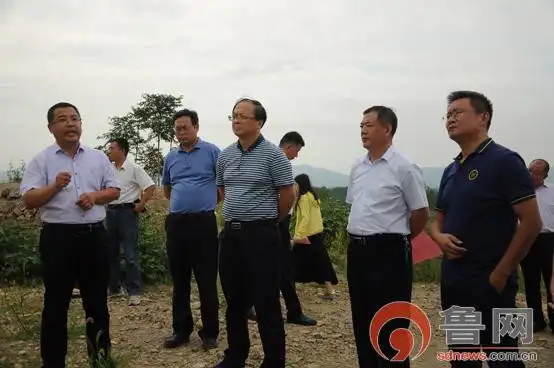 宁阳全面推进废弃矿山地质环境恢复治理工作