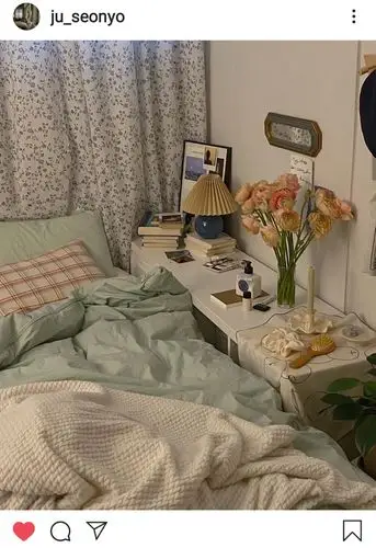 ins风 卧室 房间 欧式 田园 清新 少女 女生 图源instagram 礼貌拿图