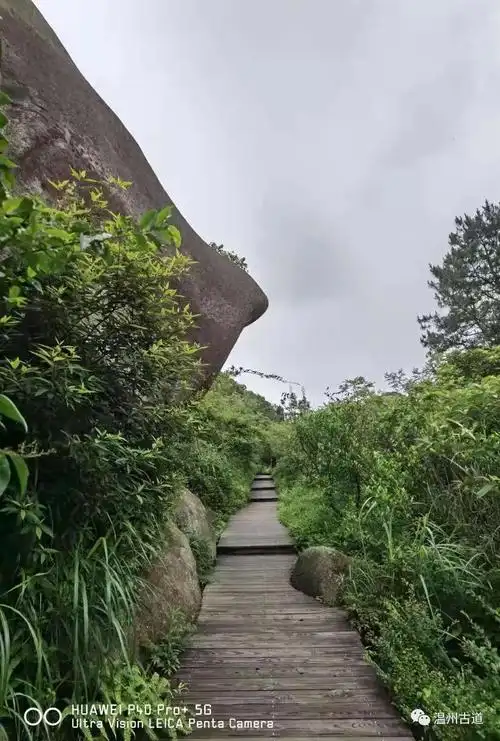 这条秘藏大罗山最纯净海拔最高人工湖的龙脊木栈道你去过吗