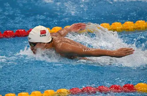 游泳全国冠军赛男子100米蝶泳预赛赛况