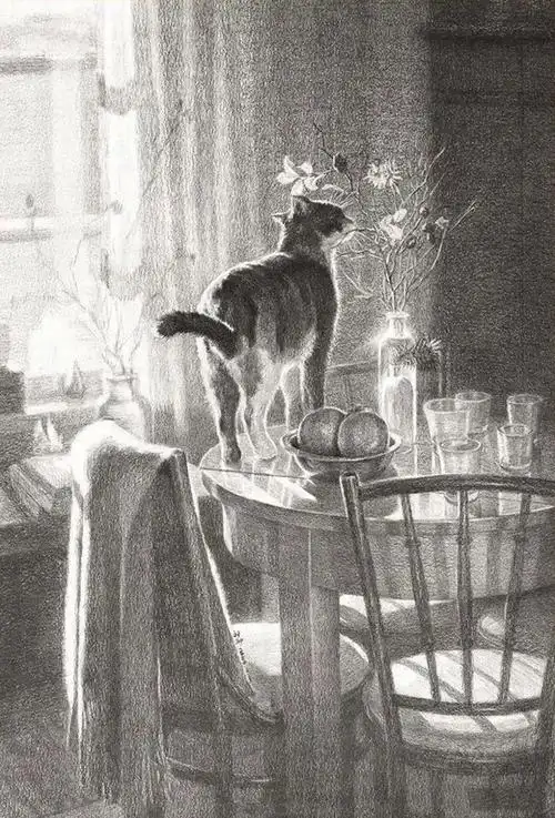 清华大学设计素描极致的构图和光线把握太强啦