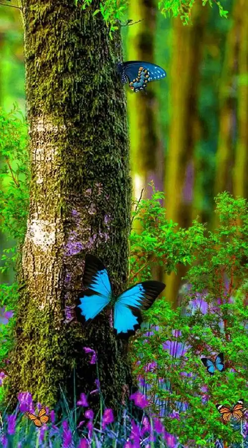 美丽风景大集合