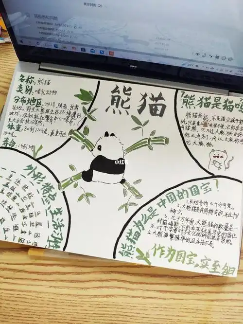 大熊猫手抄报