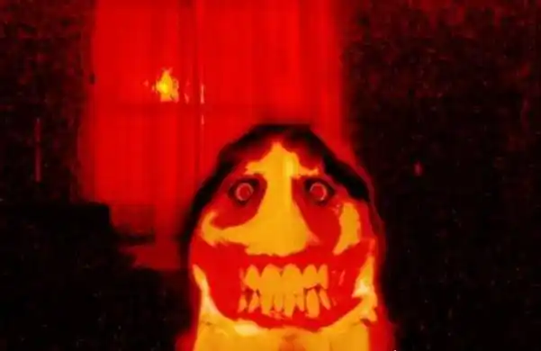 狗原图中我们可以看到,其实就是一只长有獠牙,有点血腥的哈士奇照片