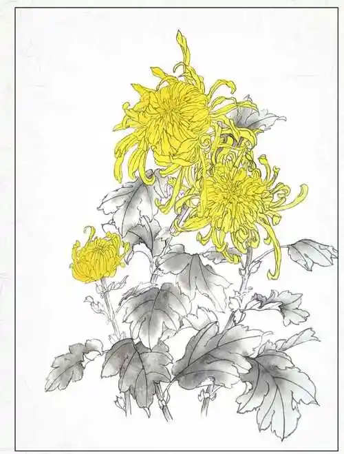 零基础工笔画:分步骤教你画菊花工笔画,简单易学,收藏临摹学习