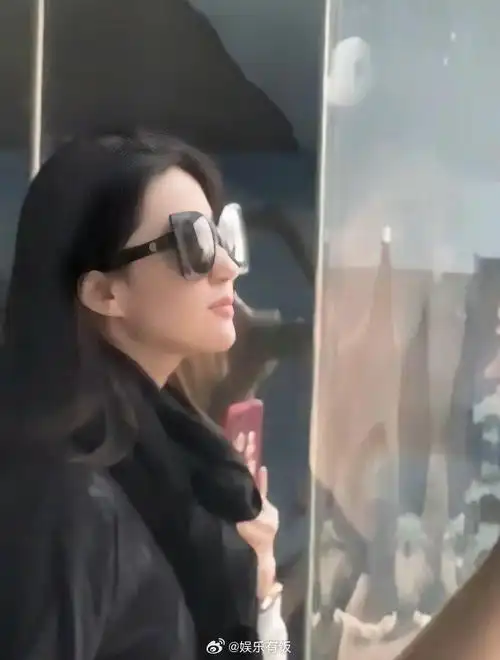 网友香港海洋公园偶遇刘亦菲游玩,这侧脸颜值绝了!__财经头条