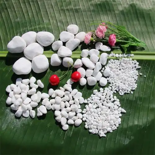 地暖豆石滤料石水洗石耐高温汗蒸鹅卵石批发水池鱼缸垫底小石子