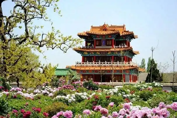 菏泽文旅十赋之牡丹区赋|菏泽市_新浪新闻