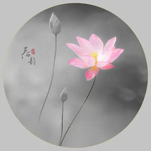 靓禅荷花岛的美景都被他收录在镜头下