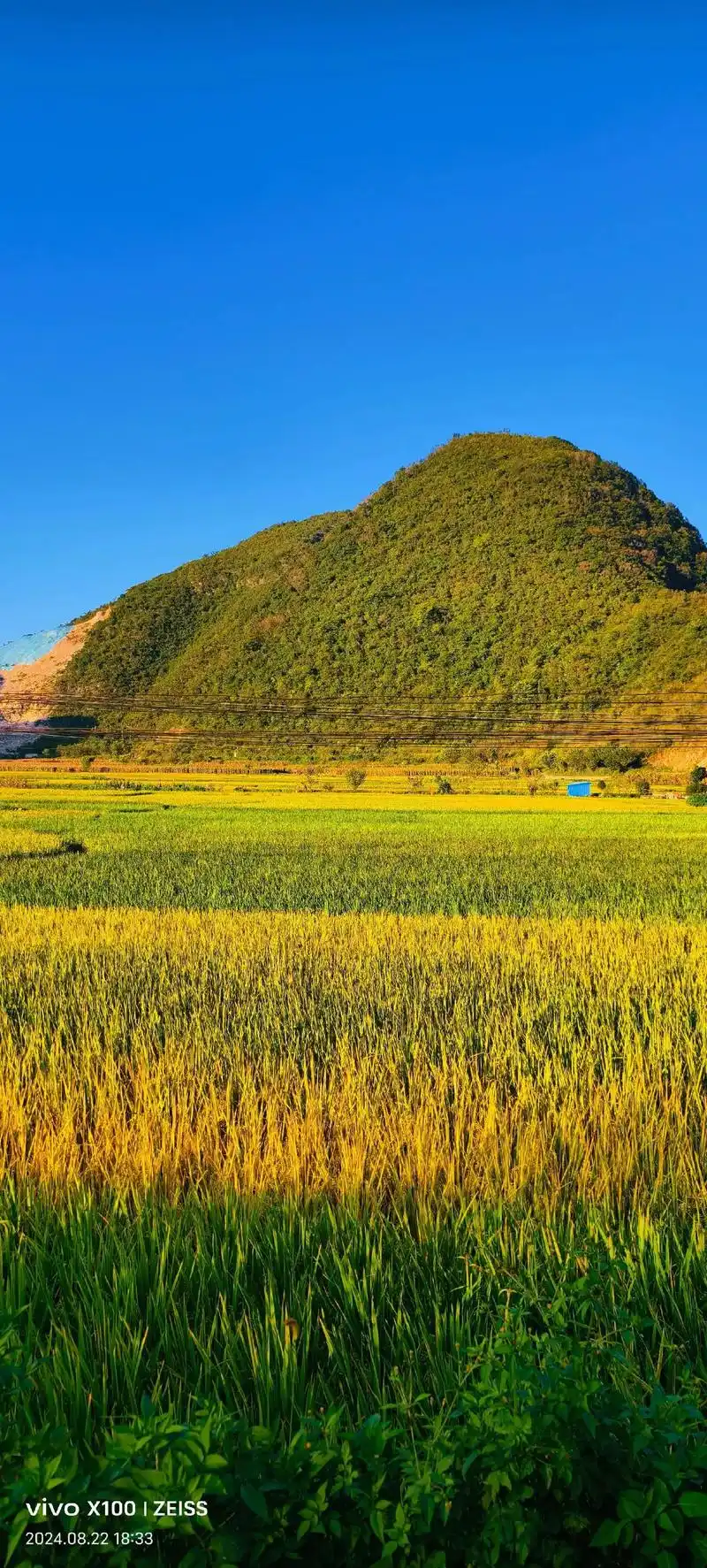 在我们美丽的家乡那充满希望的田野上听鸟音,识鱼性