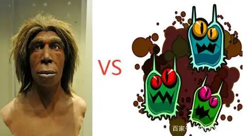 来自一位病毒君的自述