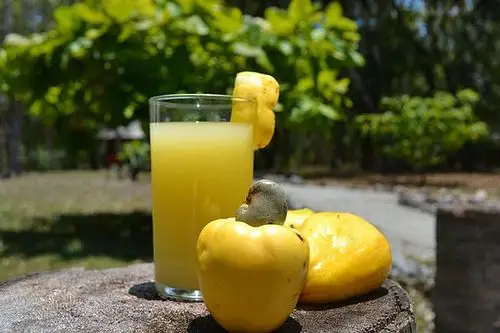 complete cashew fruit juice making line