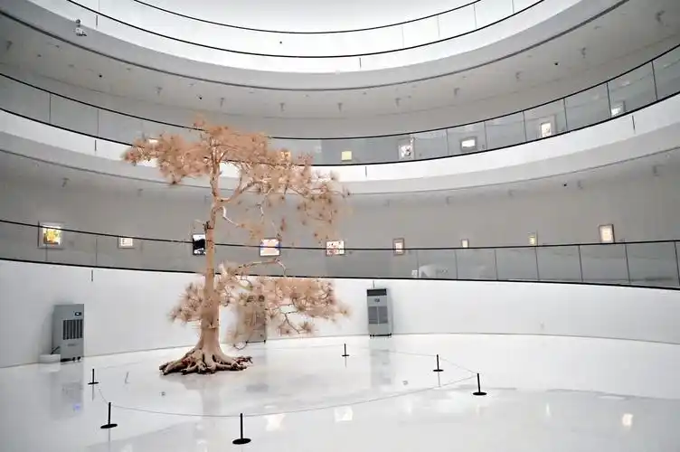 上海宝龙美术馆圆形展厅