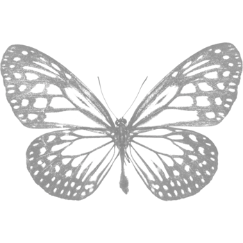 卡通手绘灰色镂空蝴蝶