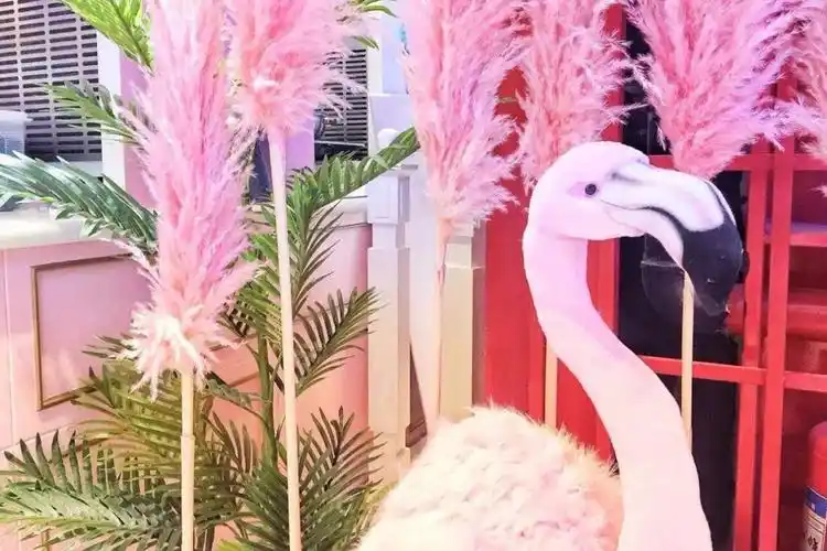 魔都小仙女30次粉色暴击燃爆你的少女心