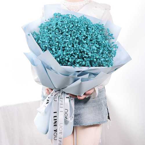 大束满天星花束干花真花自然风干送女朋友闺蜜生日情人节礼物