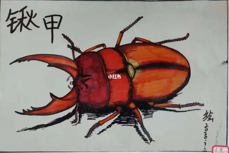 我的绘画日常  #创意美术儿童画  #少儿创意美术  #速写昆虫