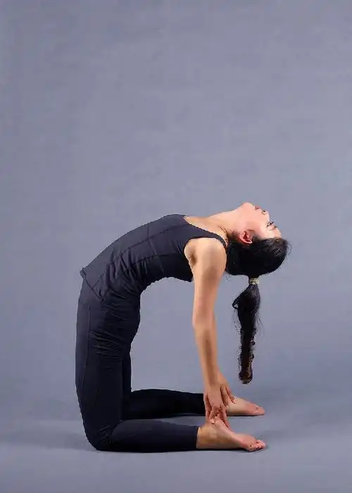 瑜伽入门的基本动作有哪些?