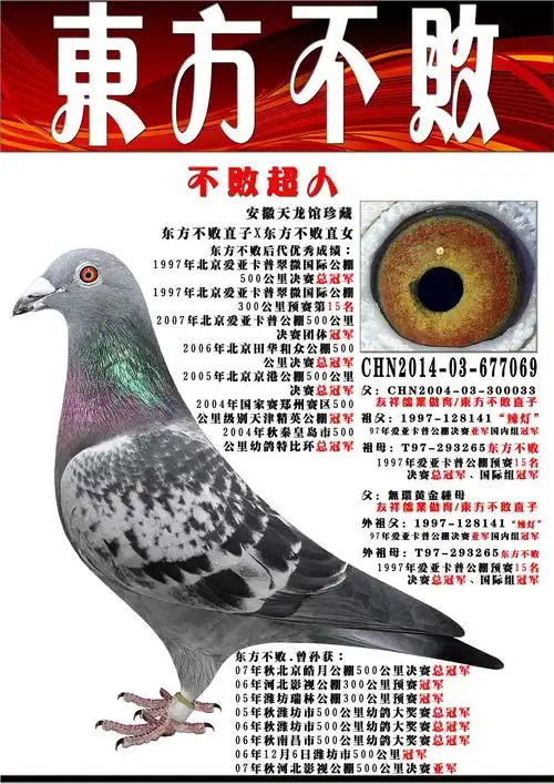 东方不败顶级直孙