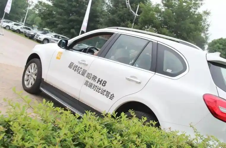 买车前试驾要注意什么如果只是简单开两圈那就不用试驾了