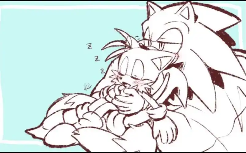 索尼克 & 塔尔斯(图片分享)新年发糖