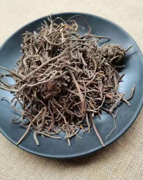 中药材铁筷子一手货源  质量可靠  别名九龙丹   功效与作用