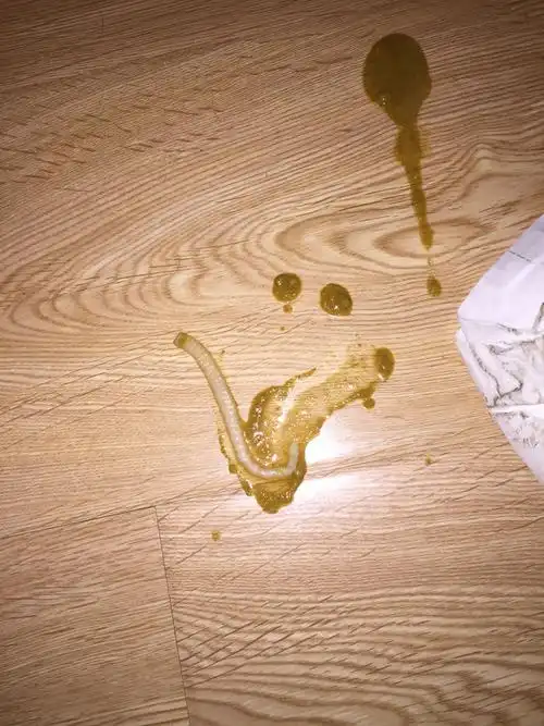 出一条虫子四个月前捡的流浪猫刚才吐出一条虫子,如图,请问这是蛔虫吗