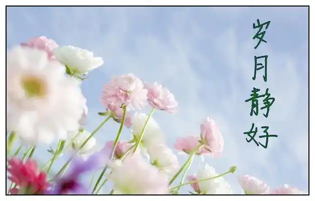 时光荏苒是什么意思岁月如梭时光荏苒