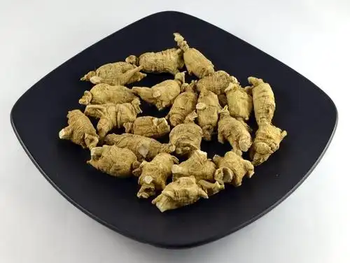 b3 round chunky - large 大号圆枝泡参 | 每粒5