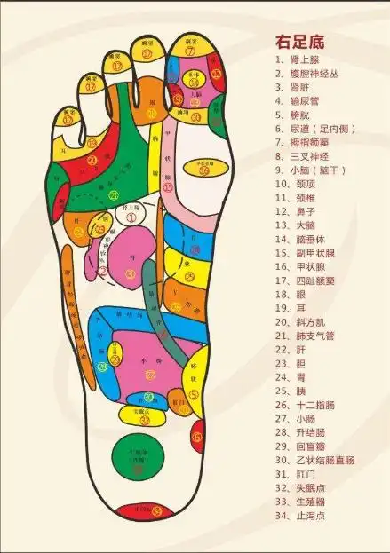 济南中医足疗养生培训班