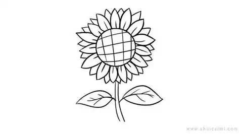 向日葵花简笔画步骤