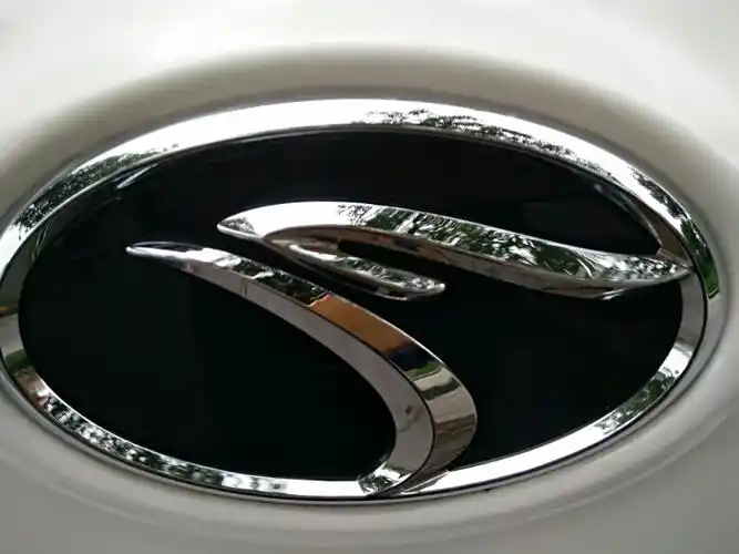 鹰头车标,独特而具个性