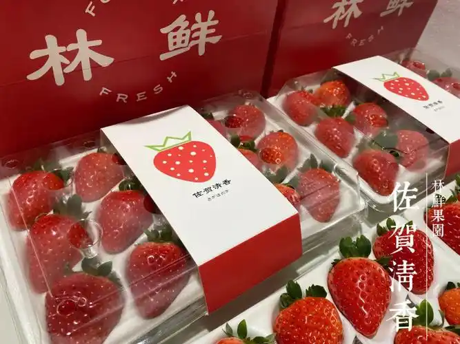 记录草莓礼盒01