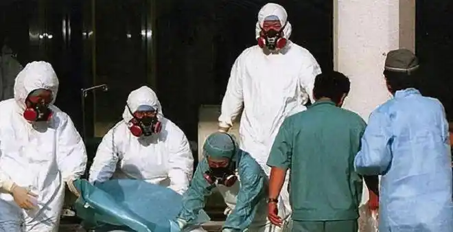 大内久83天活体腐烂图片(83天亲眼看着自己被融化)