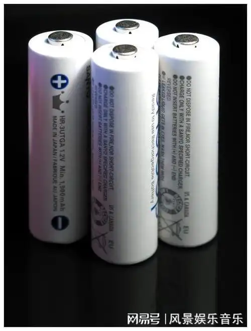 德赛电池行业领先者的未来展望