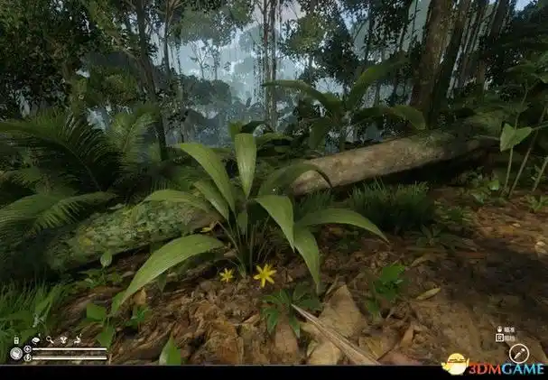 绿色地狱全流程图文攻略通关任务要点攻略