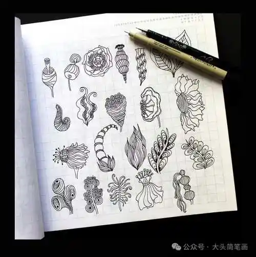 干净又清晰的线条,适合初学者的临摹素材,喜欢的赶快收藏起来吧!