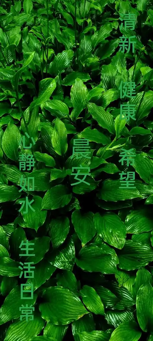 平安健康,安度夏日〈图〉