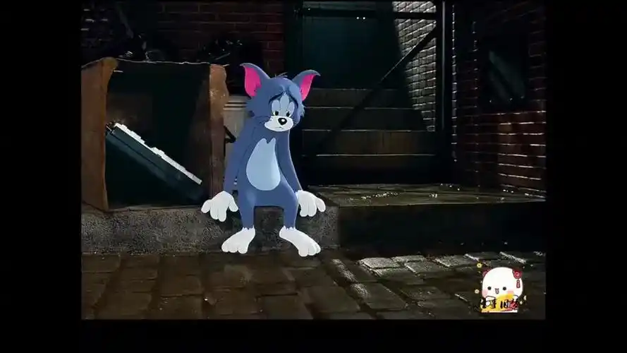 只有杰瑞才会关心,落魄的汤姆