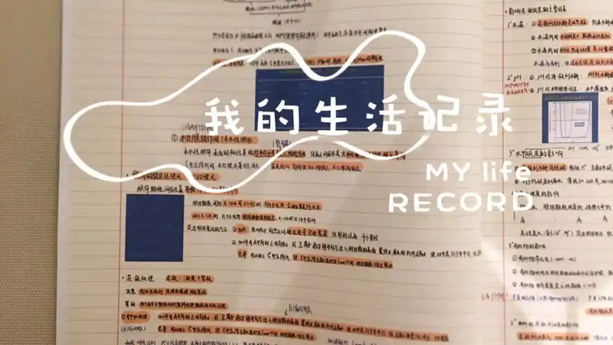 大学生的笔记真的太好看了