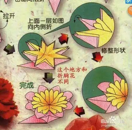 花卉折纸系列3康乃馨