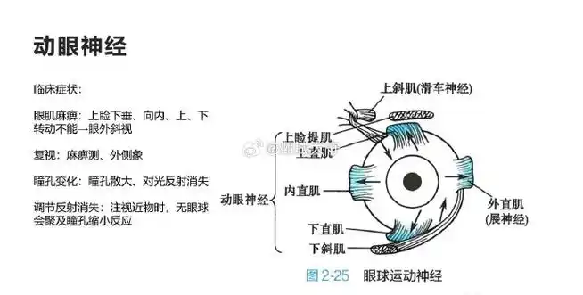昨天我跟一个患者发飙了,老太太72岁,右侧动眼神经损伤,从事脑病科