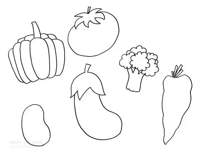 儿童画教程|艺术创想课程《满满一兜蔬菜》