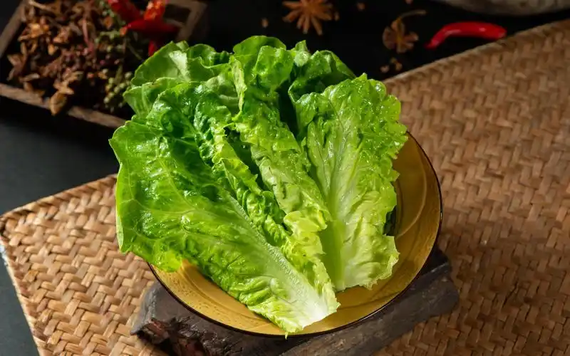 生菜.图片来源 icphoto