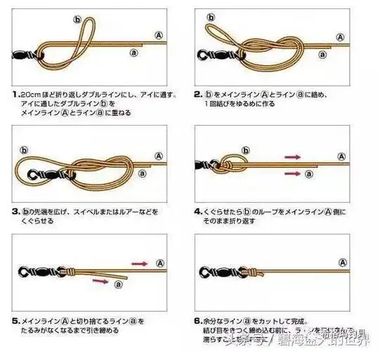 课堂·海钓|泳姿不对全白费,动图教你路亚拟饵正确使用方式!